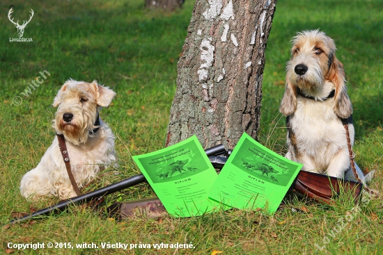 Reggaedog kennel