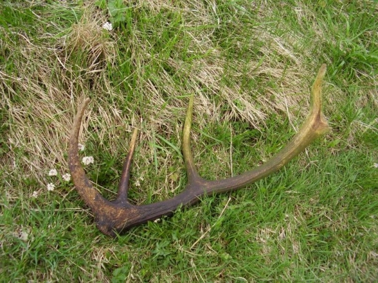 rok 2008 najdeny na praxi zo skoly