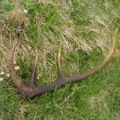 rok 2008 najdeny na praxi zo skoly