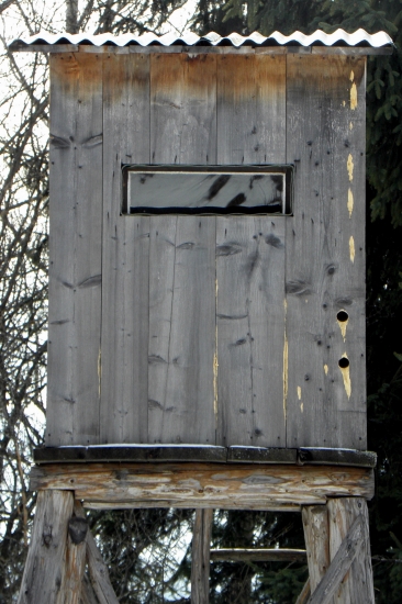 Aj Datel chce pozorovat Zver