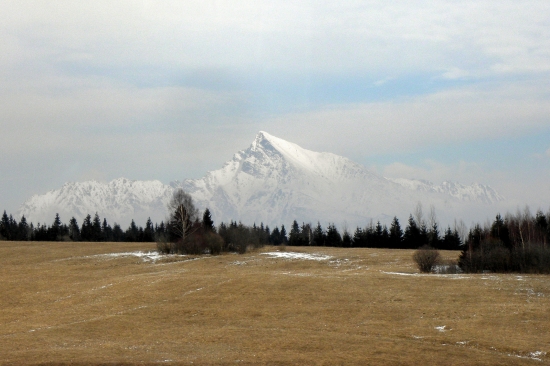 Kriváň
