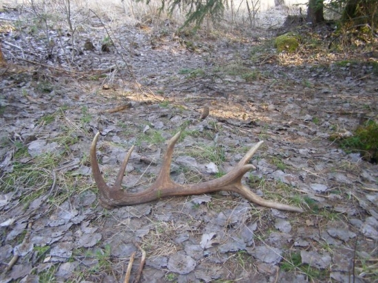 konecne sa pošťastilo