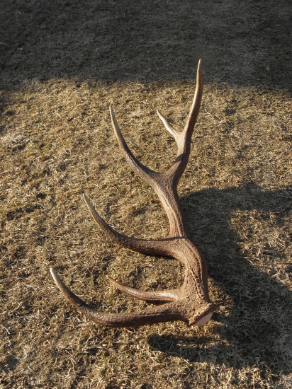 to je on 1,60 kg 85 cm