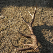 to je on 1,60 kg 85 cm