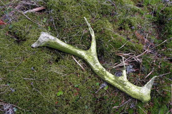 Už si tam trošku poležal