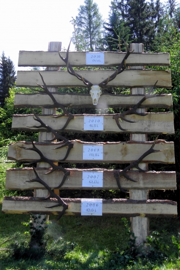 Oco ho nechával žiť a nakonic ho strhli vlky a na chovatelskej mu dali 15 rokov