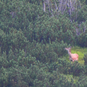 Zbadala kamaráta na dalšej fotke :D