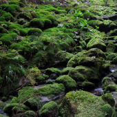 Krása horských potokov