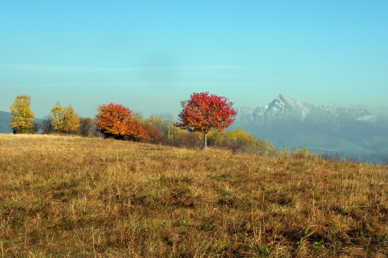 Prechádzka 1.11 2011