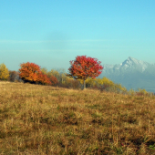 Prechádzka 1.11 2011