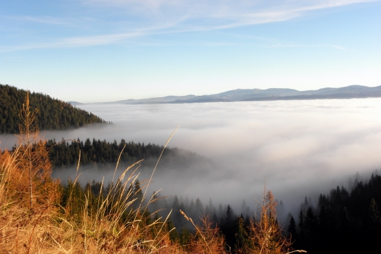 Údolie zahalené Hmlou