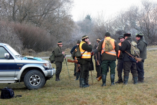 Prestávka cez Pohon