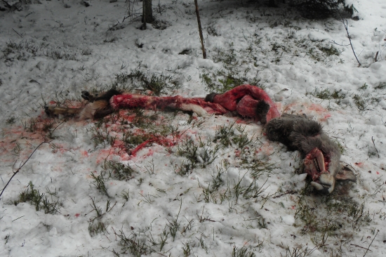 Neostalo z nej skoro nič