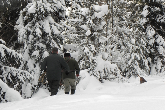Nedelná Prechádzka