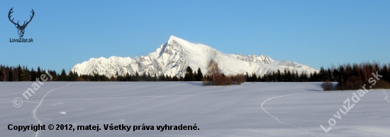 Krivááň