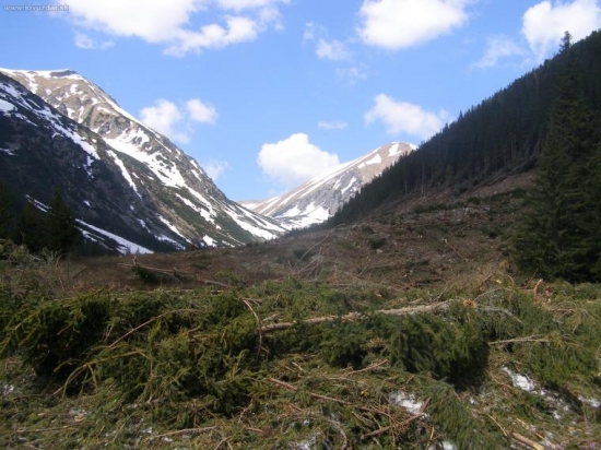 Lavina v Rackovej doline