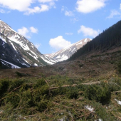 Lavina v Rackovej doline