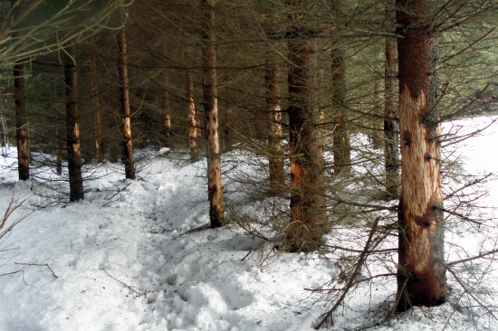 A takto vyzerá celá hora