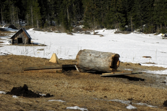 Macko uško robí zlosť