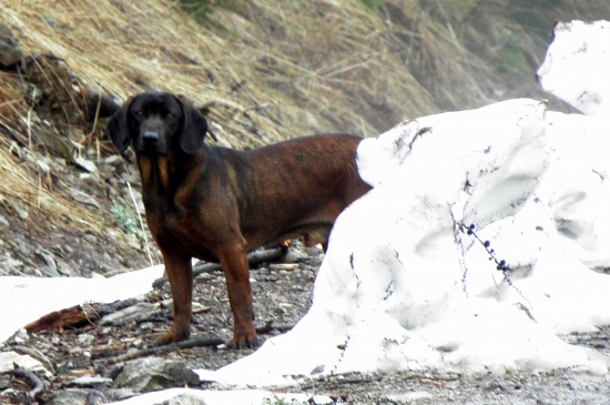 Dnešná prechádzka
