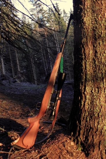 308 win.