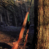 308 win.