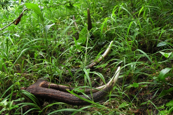 Dnešné prekvapenie