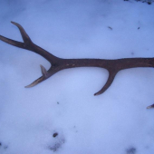 2,5 kg najdeny o 100 m od prveho