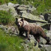Dnešné stretnutie v horách