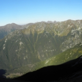 Panoráma