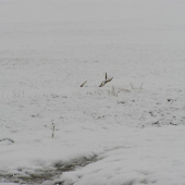 moj 3ti v zivote rok 2007