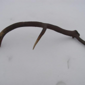 8smak spiatocnik ocov mal len jeden paroh 189 bodov