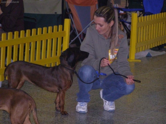 vystava v Nitre dake 2-3 roky do zadu