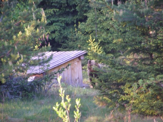 necakane stretnutie na 15 m