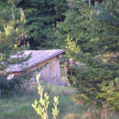 necakane stretnutie na 15 m