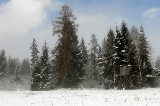 Zimná idylka