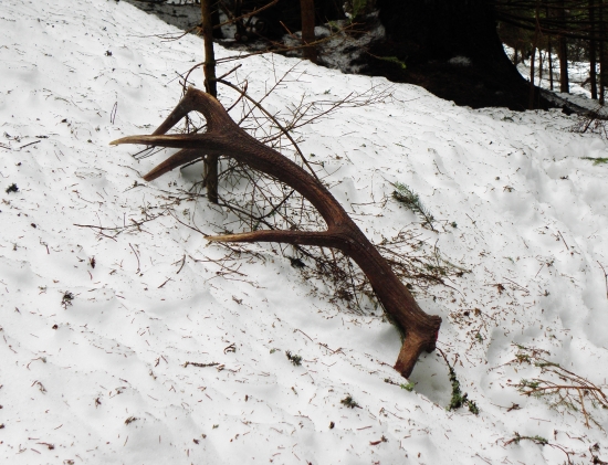 S tých silnejších