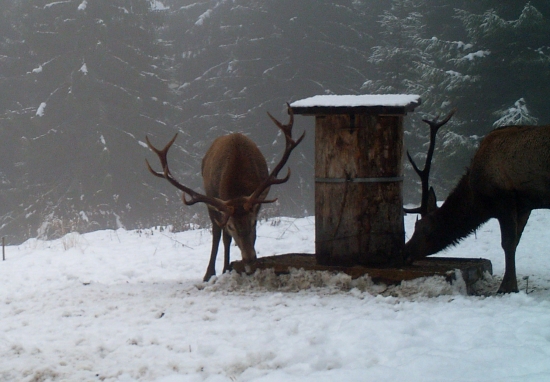 Trošku na schladenie v tomto teple