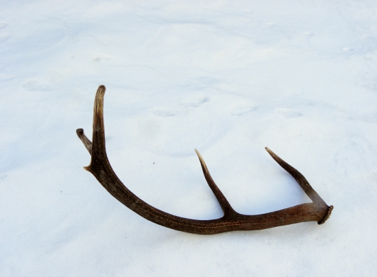 Nepravidelný 10 torák 1,86 kg