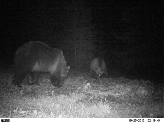 Ešte ich to neomrzelo