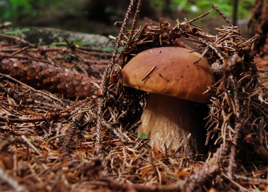 Schovaný neschovaný :D