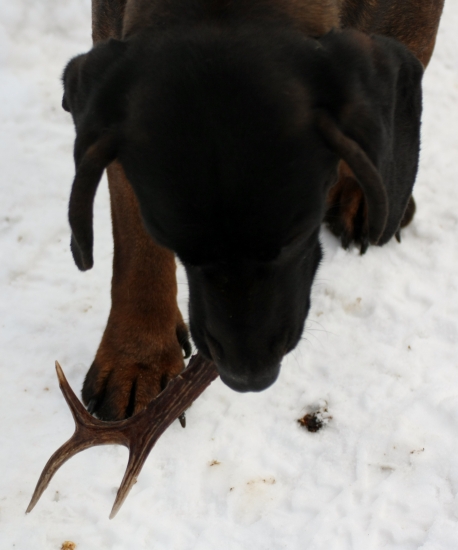 Takto mi ho dnes doniesol