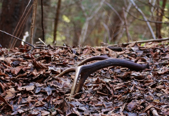 Na prvý pohlad čerstvý