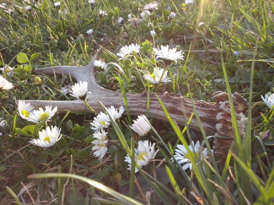 Aj mojej priatelke sa zadarilo