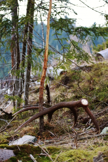 2 v poradí do páry