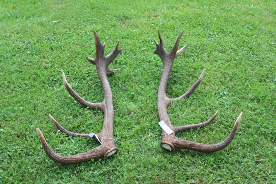 Nepravidelný 18 torák