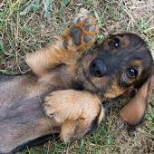 Give me five