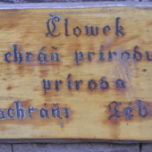 Pravda