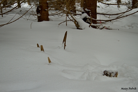 Dohladaný do páry po 3 dňoch