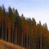 Hora pri západe slnka